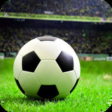 88313F:COM-WWW:88313F:COM